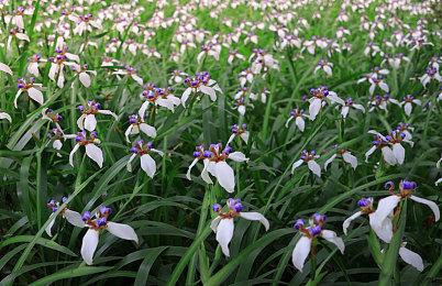 Epic喜加二！《冬日计划》和《银河历险记2》免费领